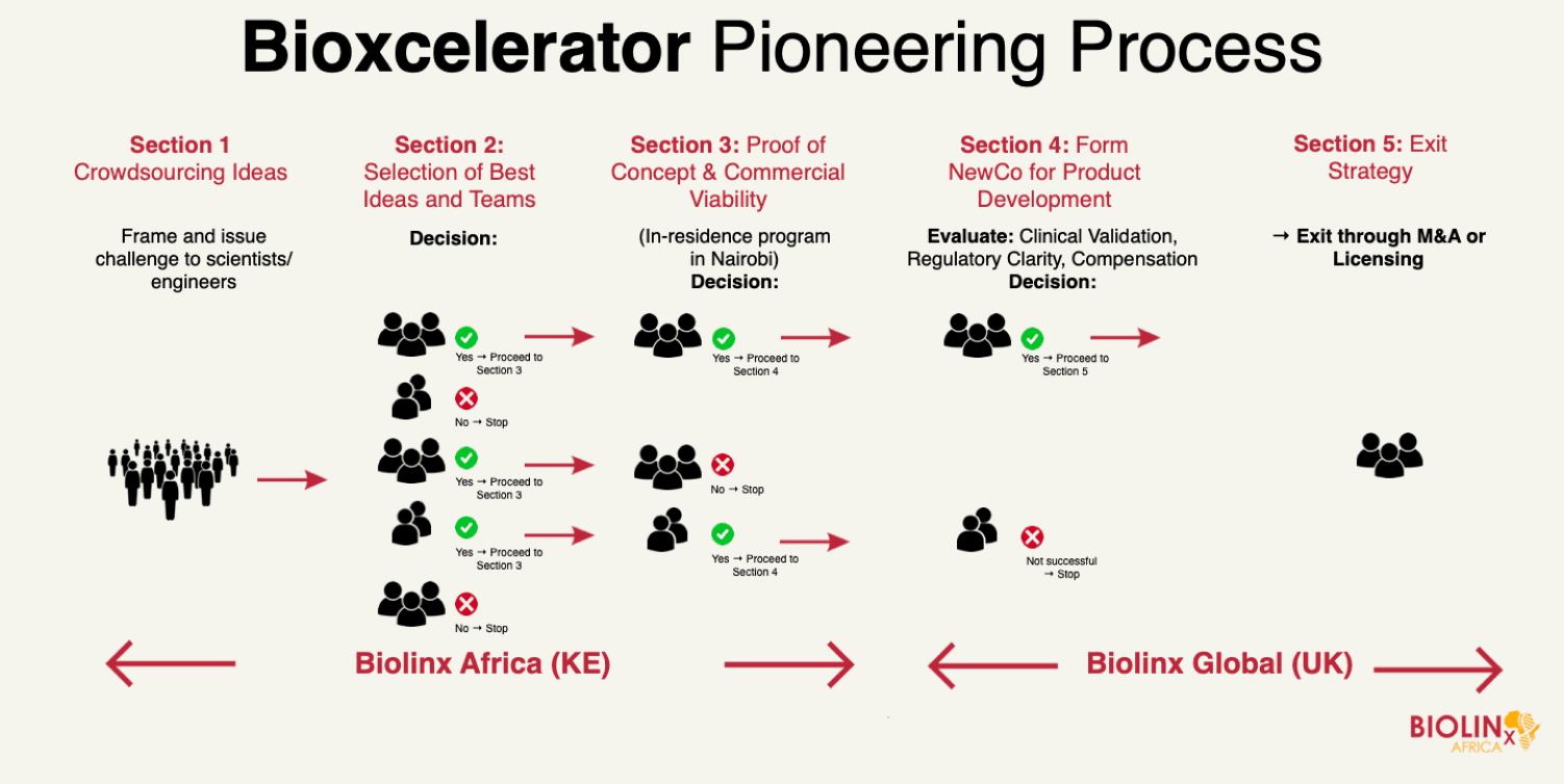 Biolinx Africa workflow and process overview